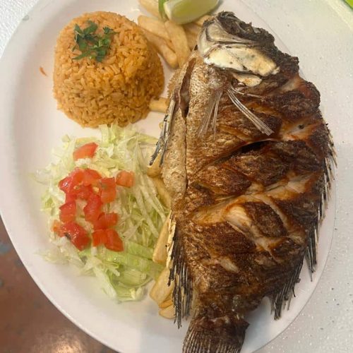 WhatsApp Image 2022-11-02 at 2.22.11 PM